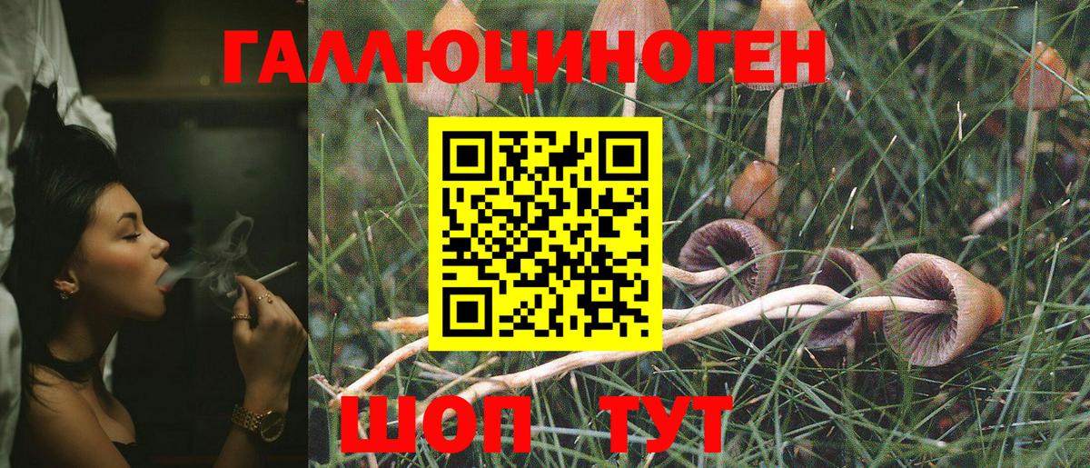 Псилоцибиновые грибы мицелий Клин