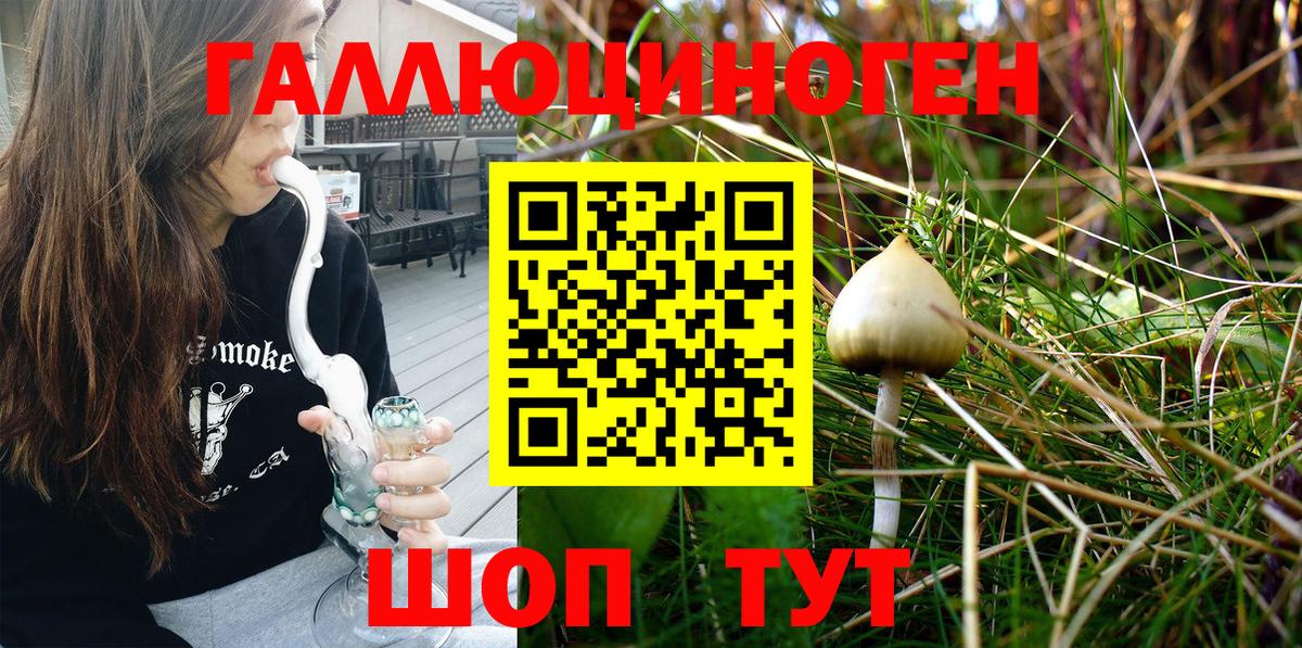 Псилоцибиновые грибы Cubensis  Вход с VPN  Клин 